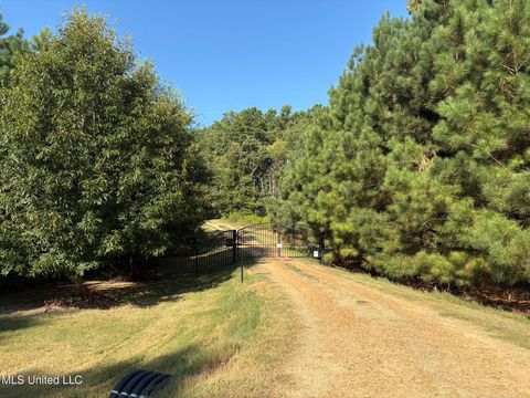 Homes For Sale - 333 Paul White Road<br/> Panola County, Como, MS 38619