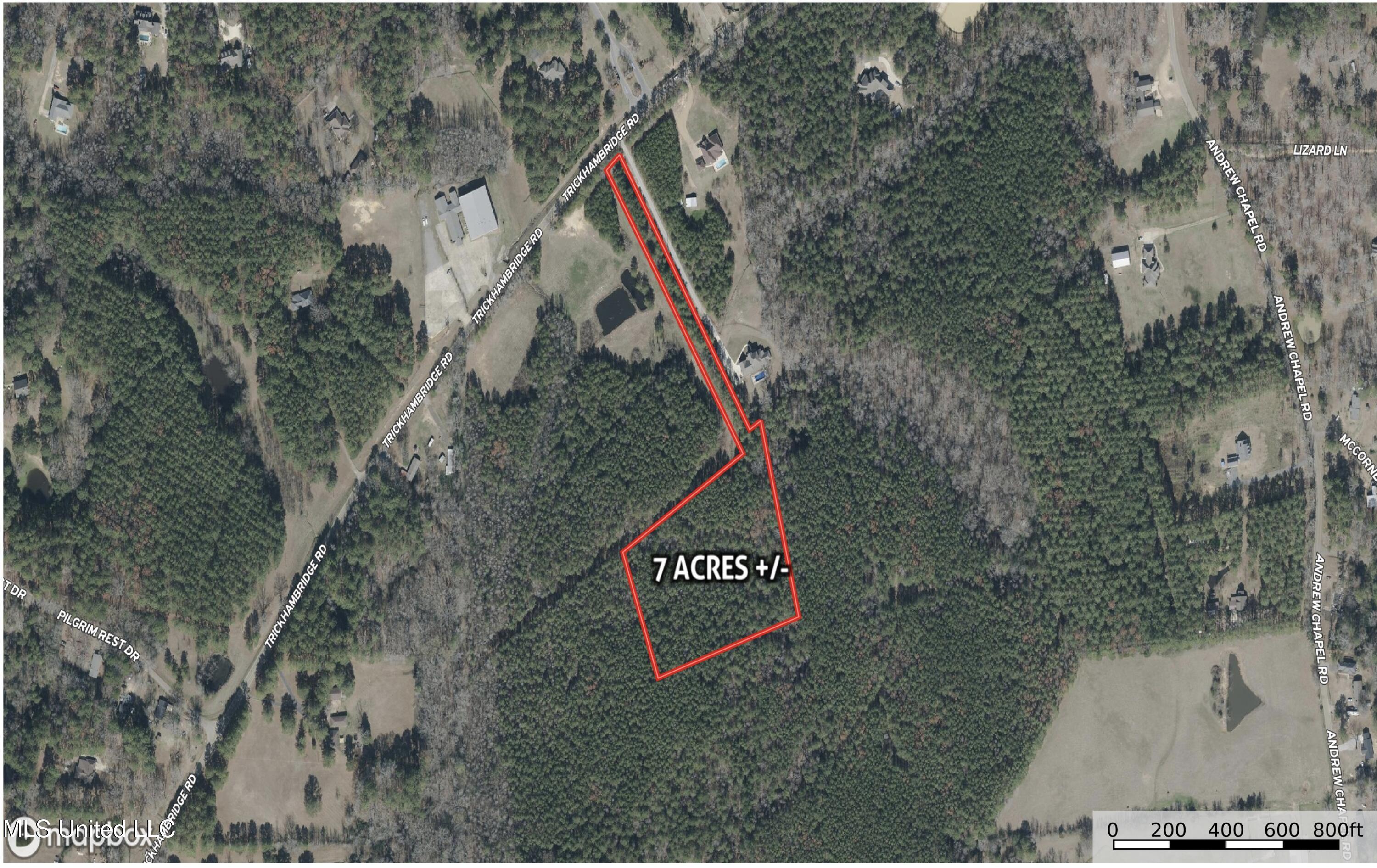 0002 Trickhambridge Road, Brandon, Mississippi image 4