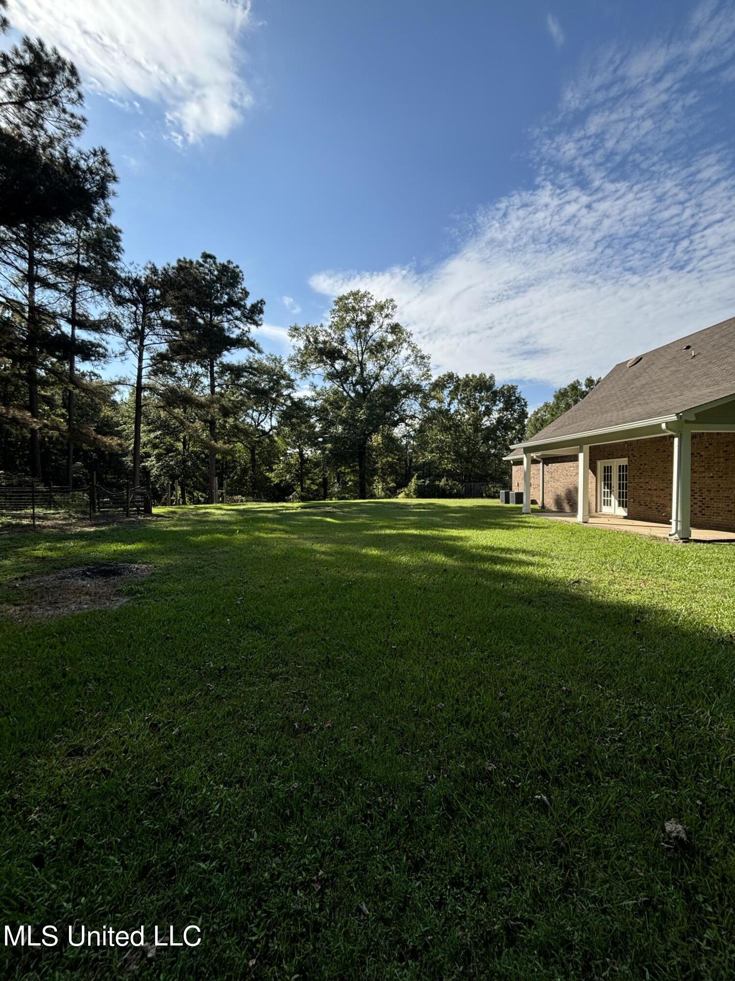 14365 Chelsea Cove, Byhalia, Mississippi image 9