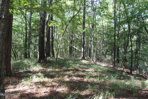 Vacant Land For Sale - TBD Fox Road<br/> Amite County, Gloster, MS 39638