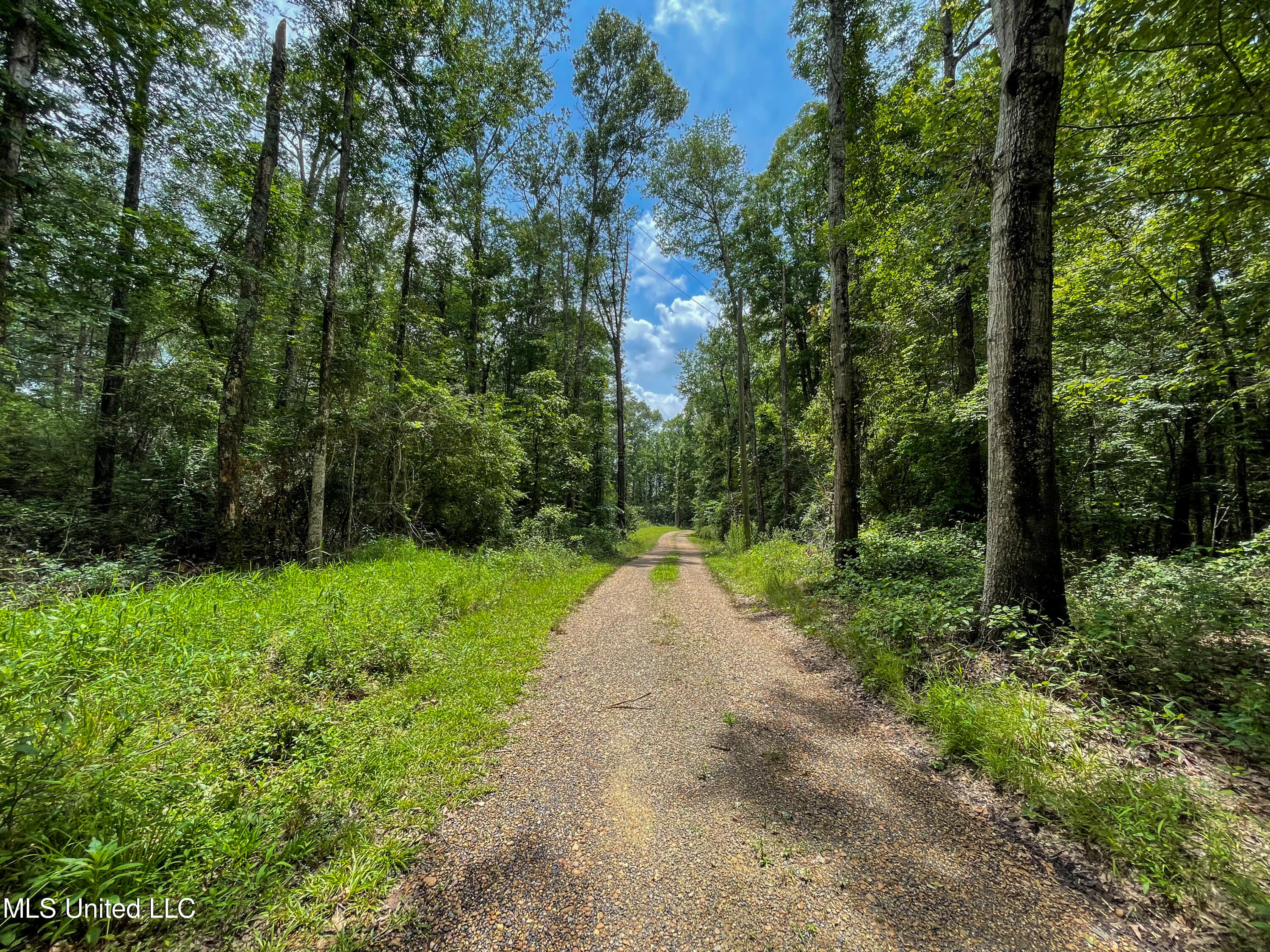 High Point Cove, Puckett, Mississippi image 1