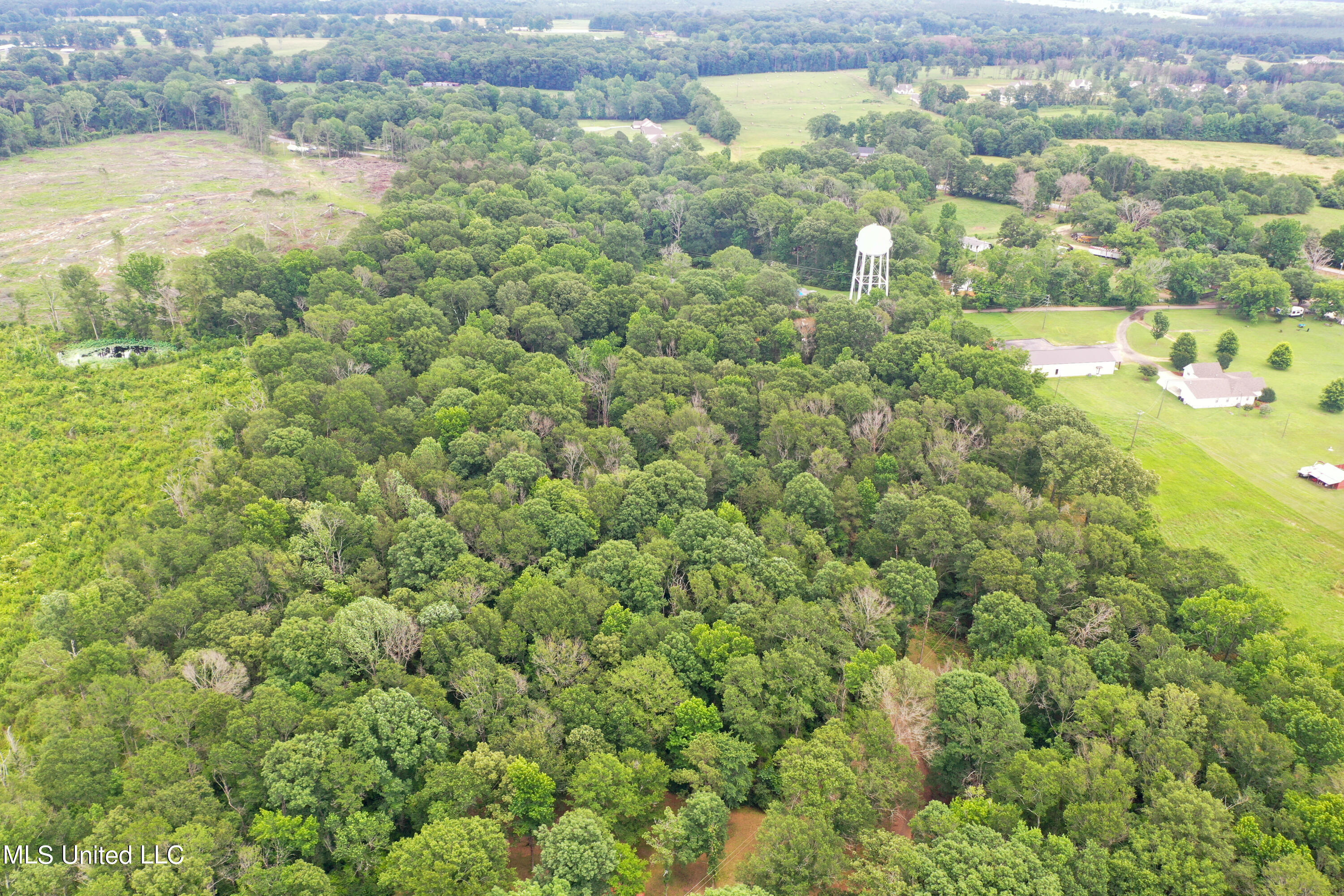 High Point Cove, Puckett, Mississippi image 9