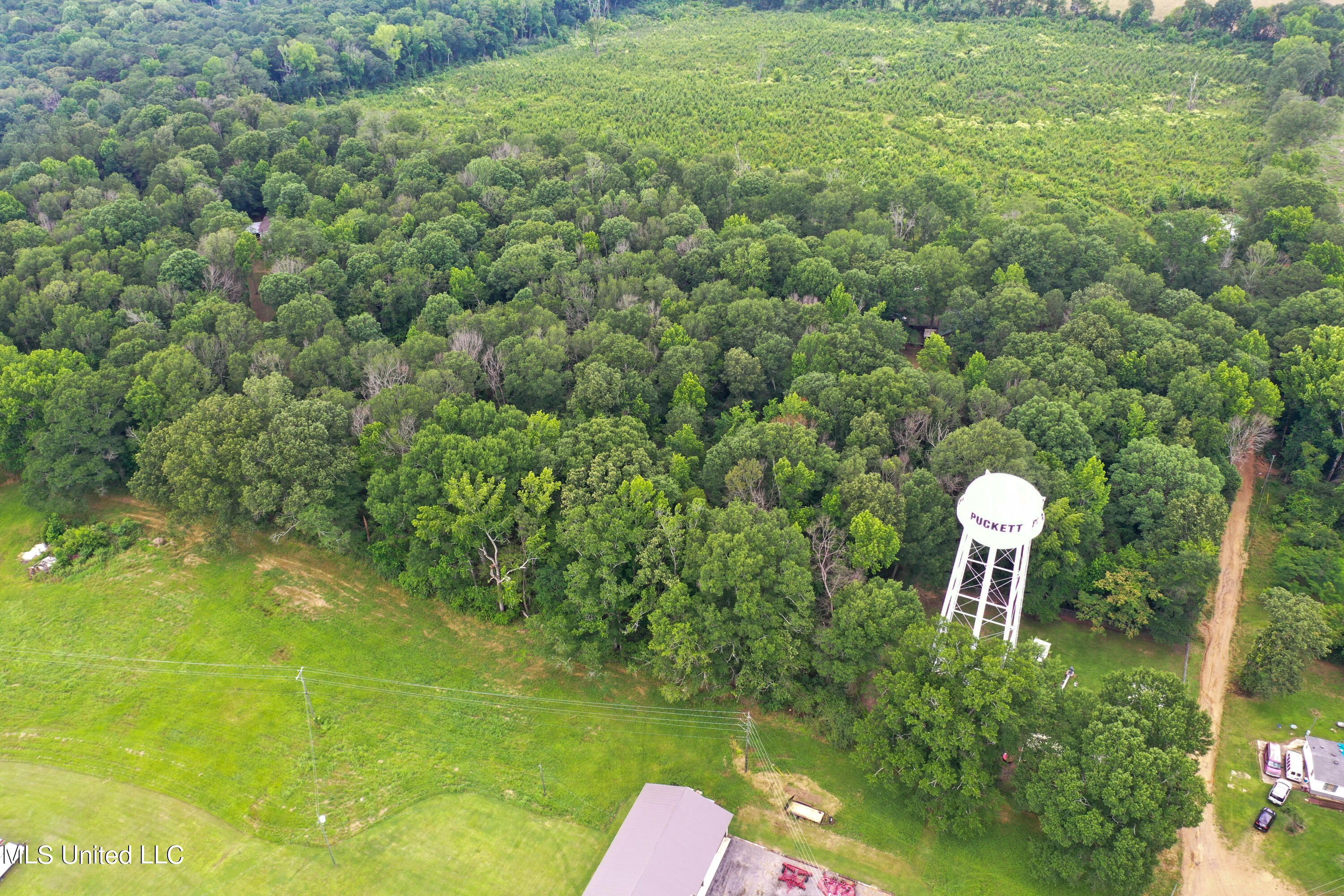 High Point Cove, Puckett, Mississippi image 8