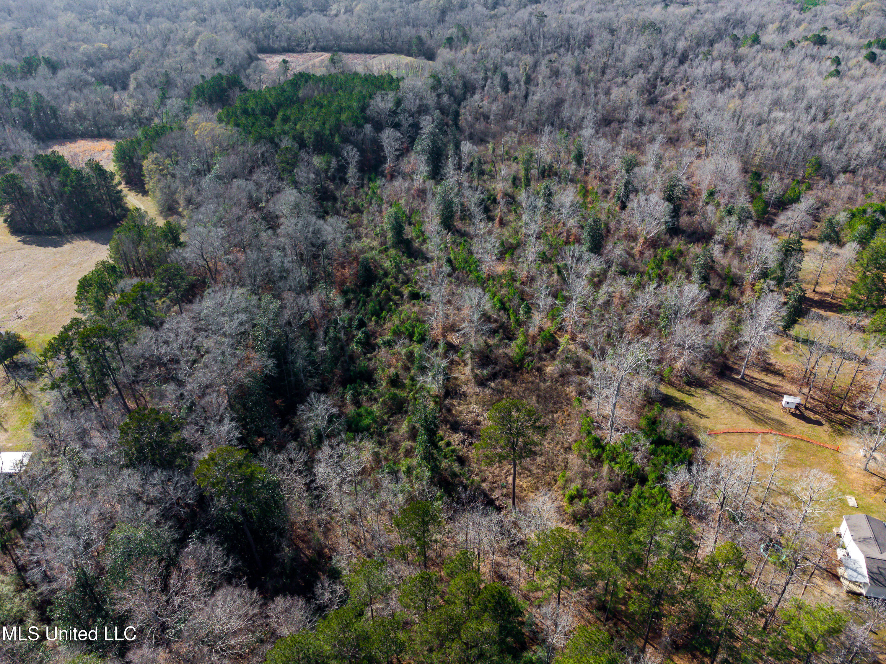 SE River Rd Drive, Bogue Chitto, Mississippi image 5