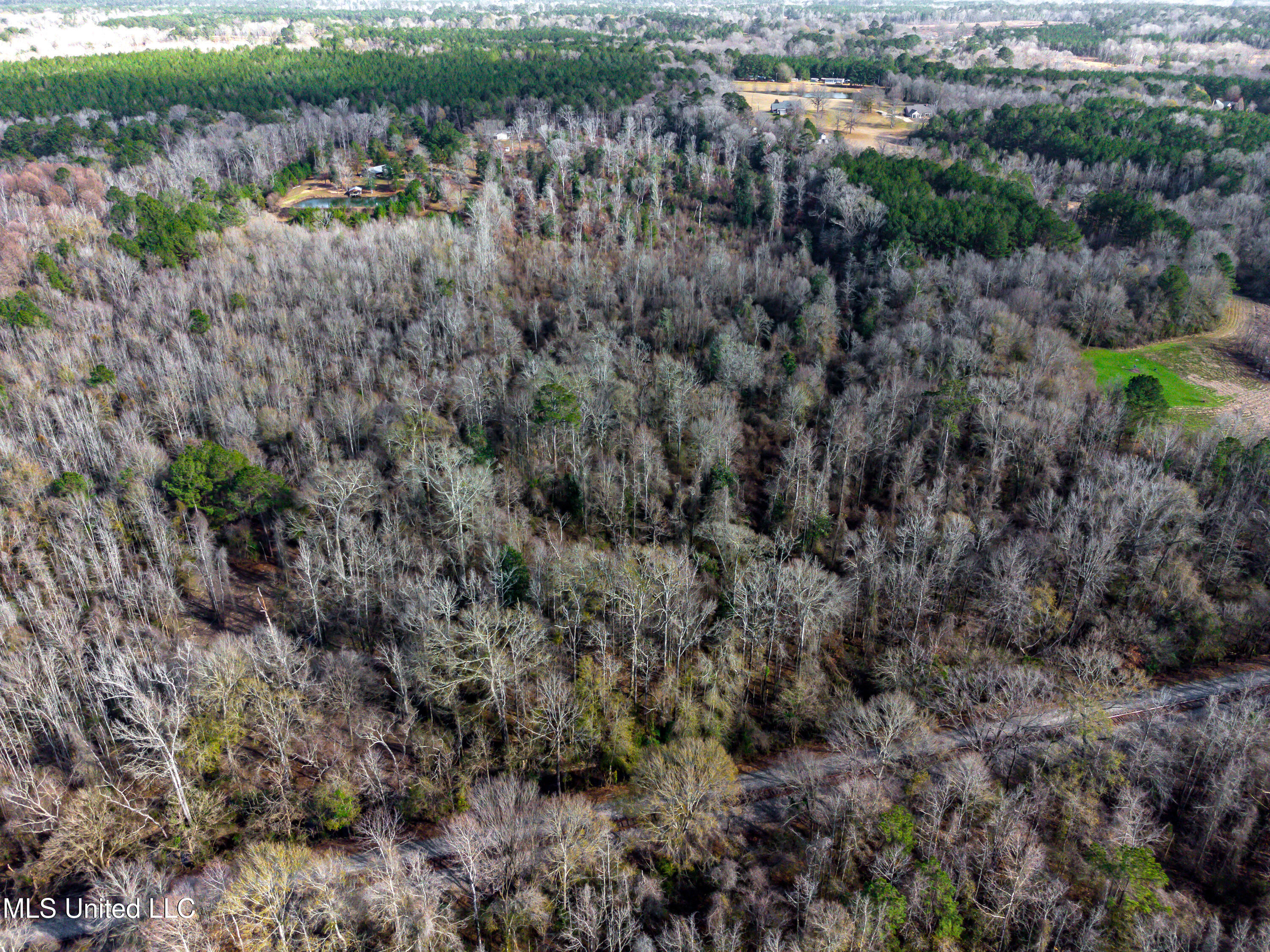 SE River Rd Drive, Bogue Chitto, Mississippi image 12