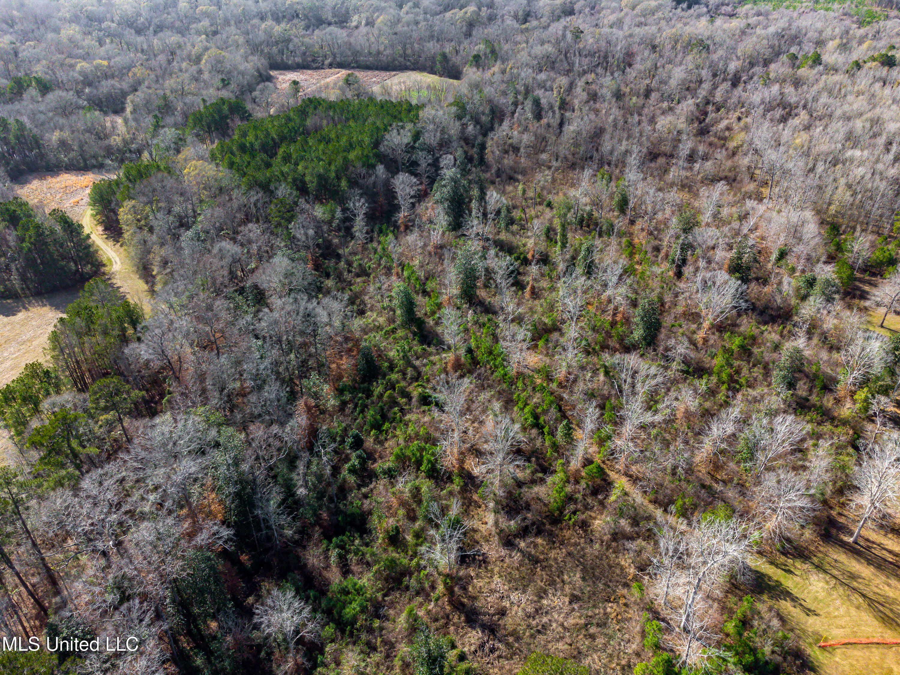 SE River Rd Drive, Bogue Chitto, Mississippi image 6