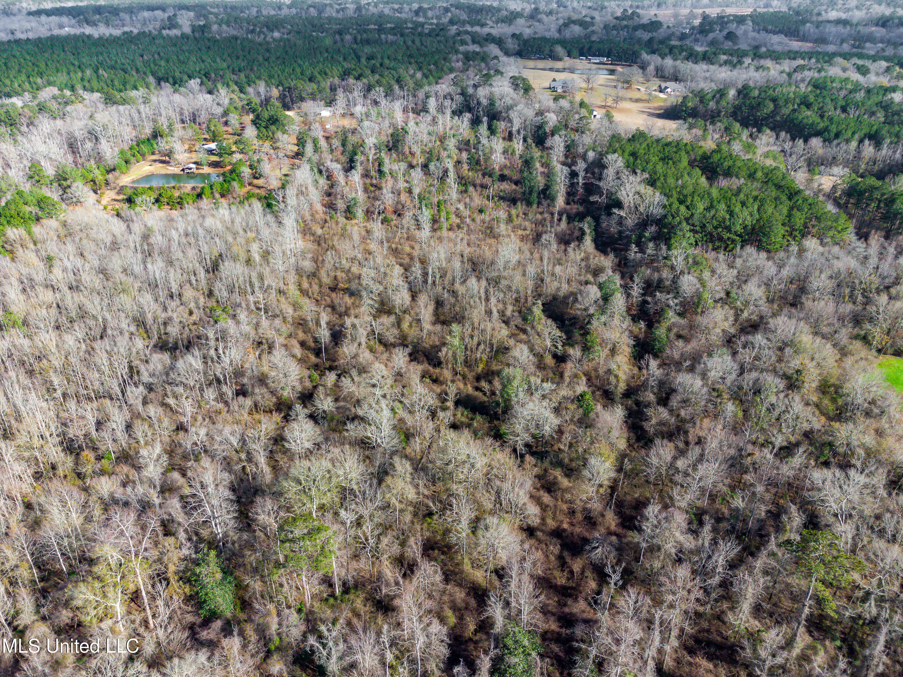 SE River Rd Drive, Bogue Chitto, Mississippi image 13