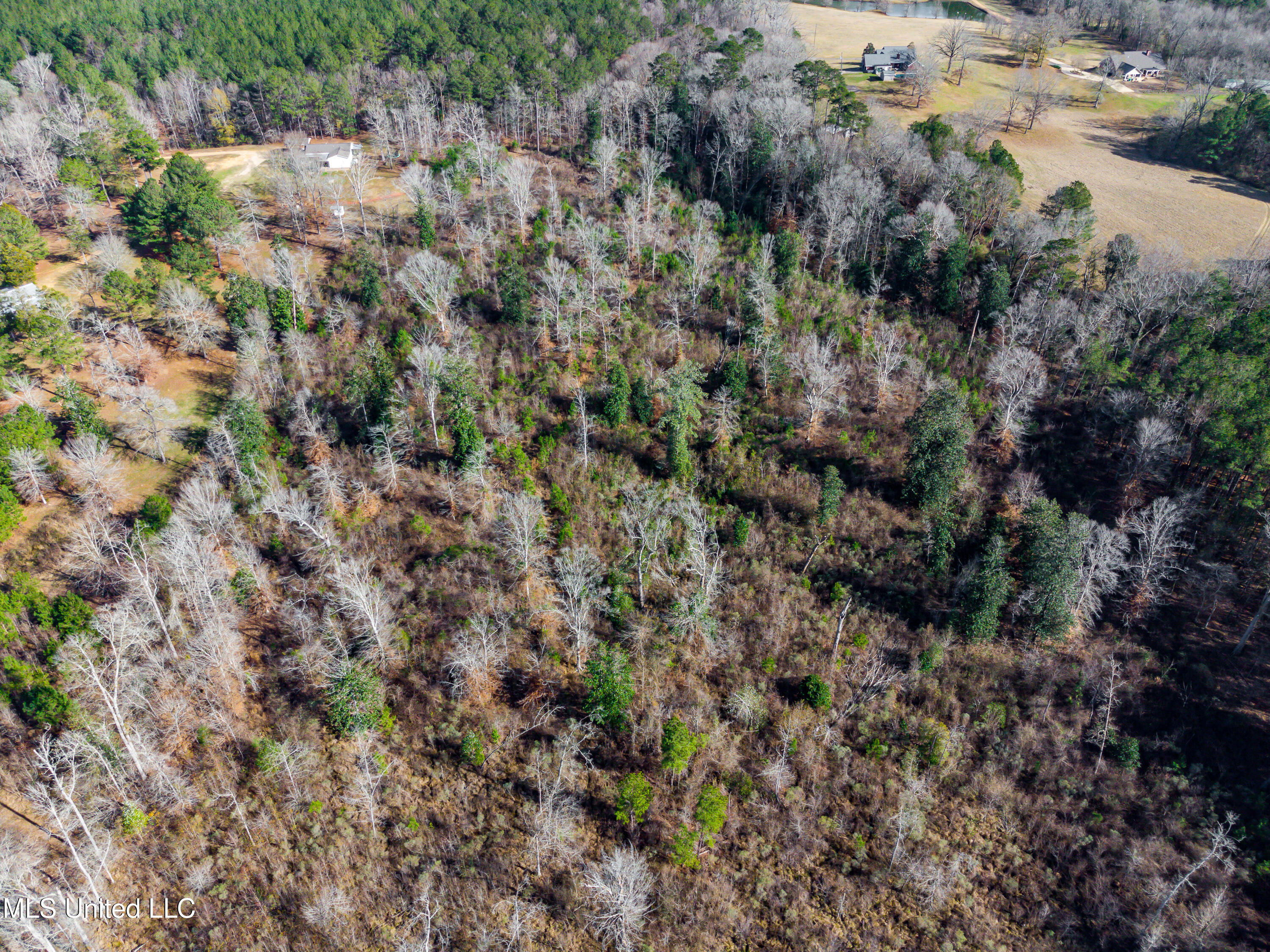 SE River Rd Drive, Bogue Chitto, Mississippi image 7