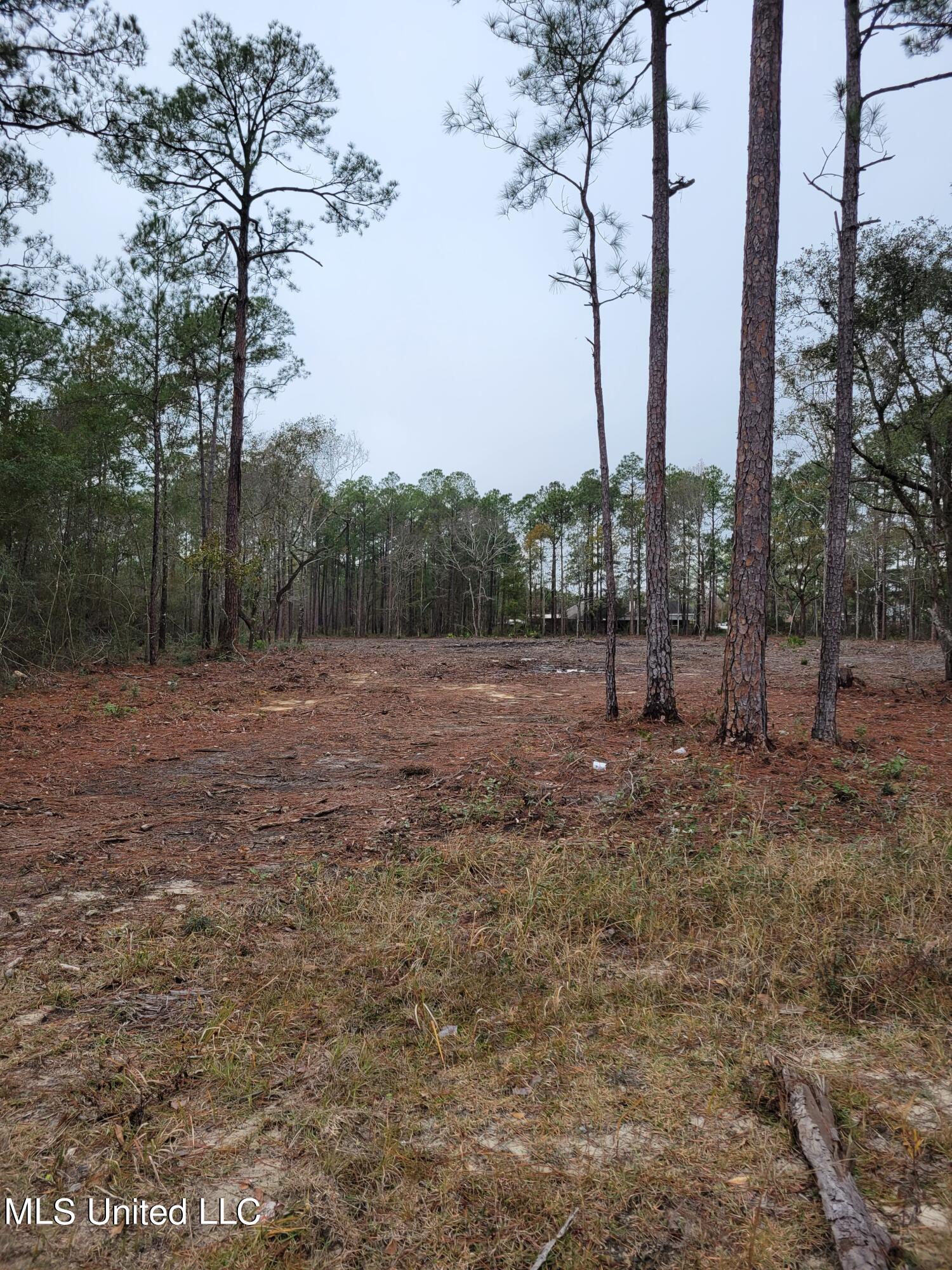 Belle Fontaine Drive, Ocean Springs, Mississippi image 1