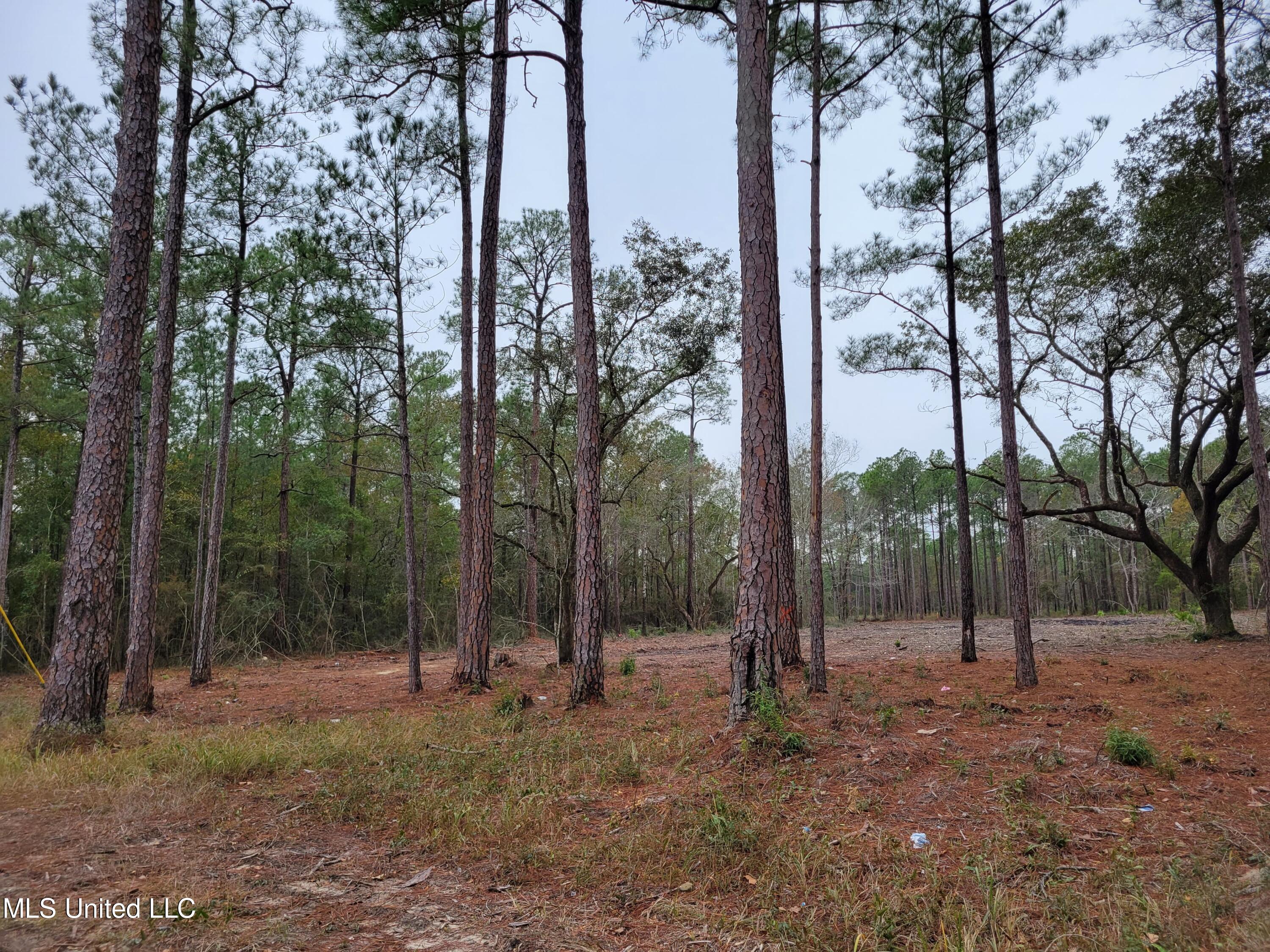 Belle Fontaine Drive, Ocean Springs, Mississippi image 4