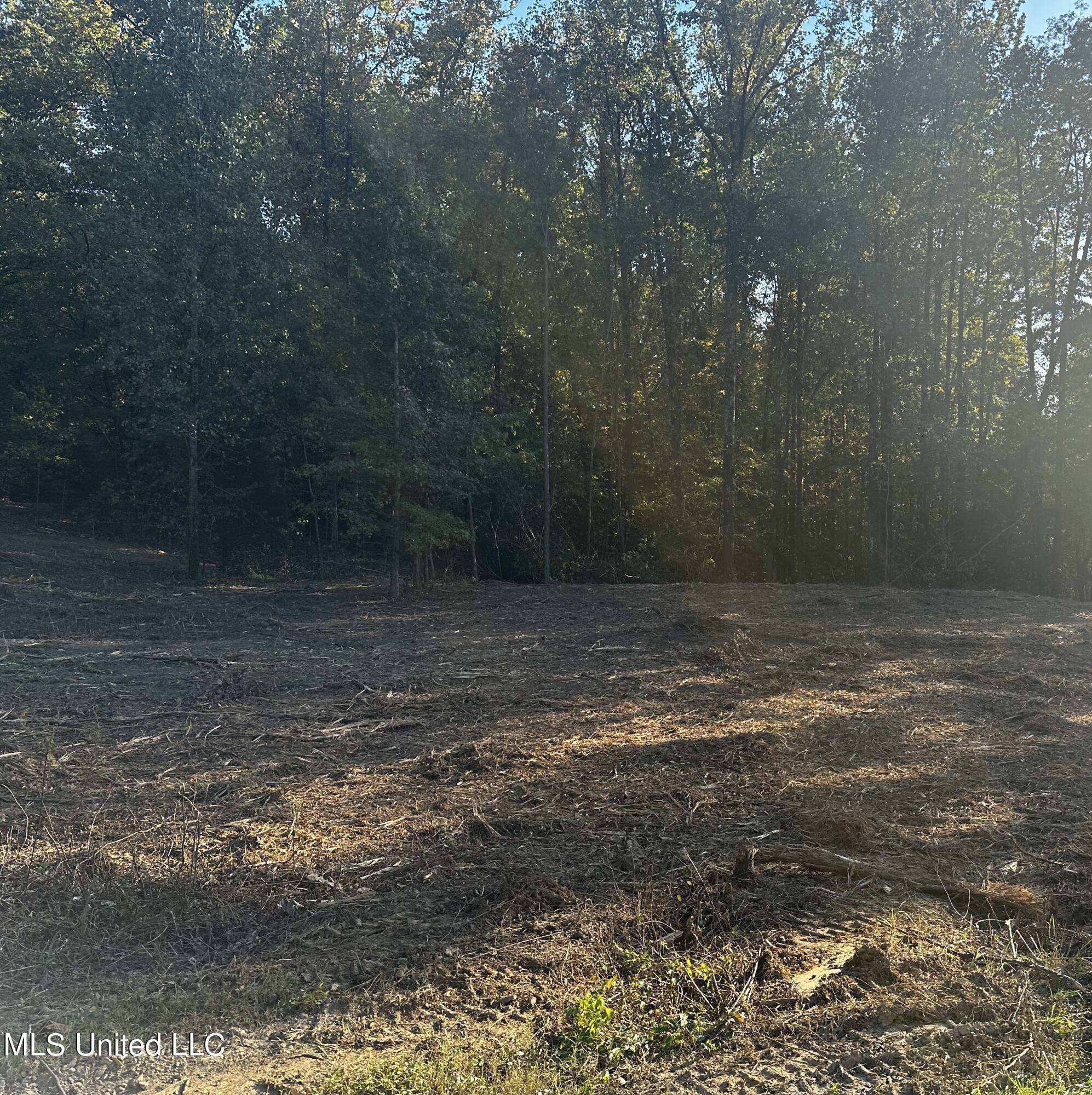 Lot 6 Summer Circle, Lake Cormorant, Mississippi image 5