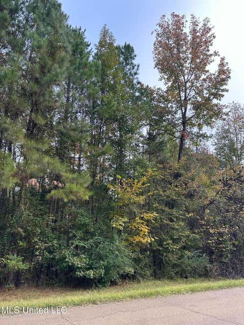 Vacant Land For Sale - Mcraven Road<br/> Clinton, MS 39056