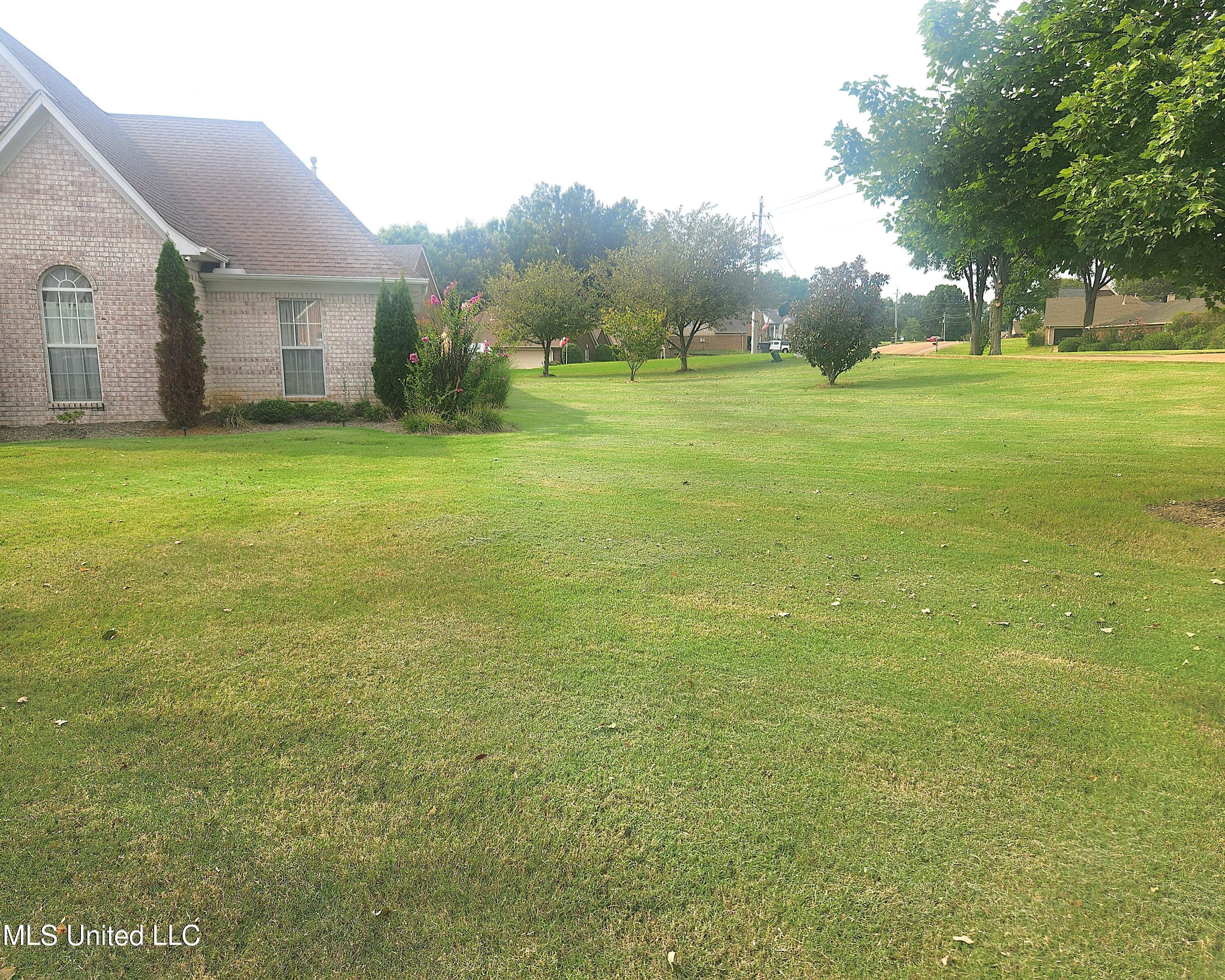 1719 Magnolia Manor Drive, Hernando, Mississippi image 3