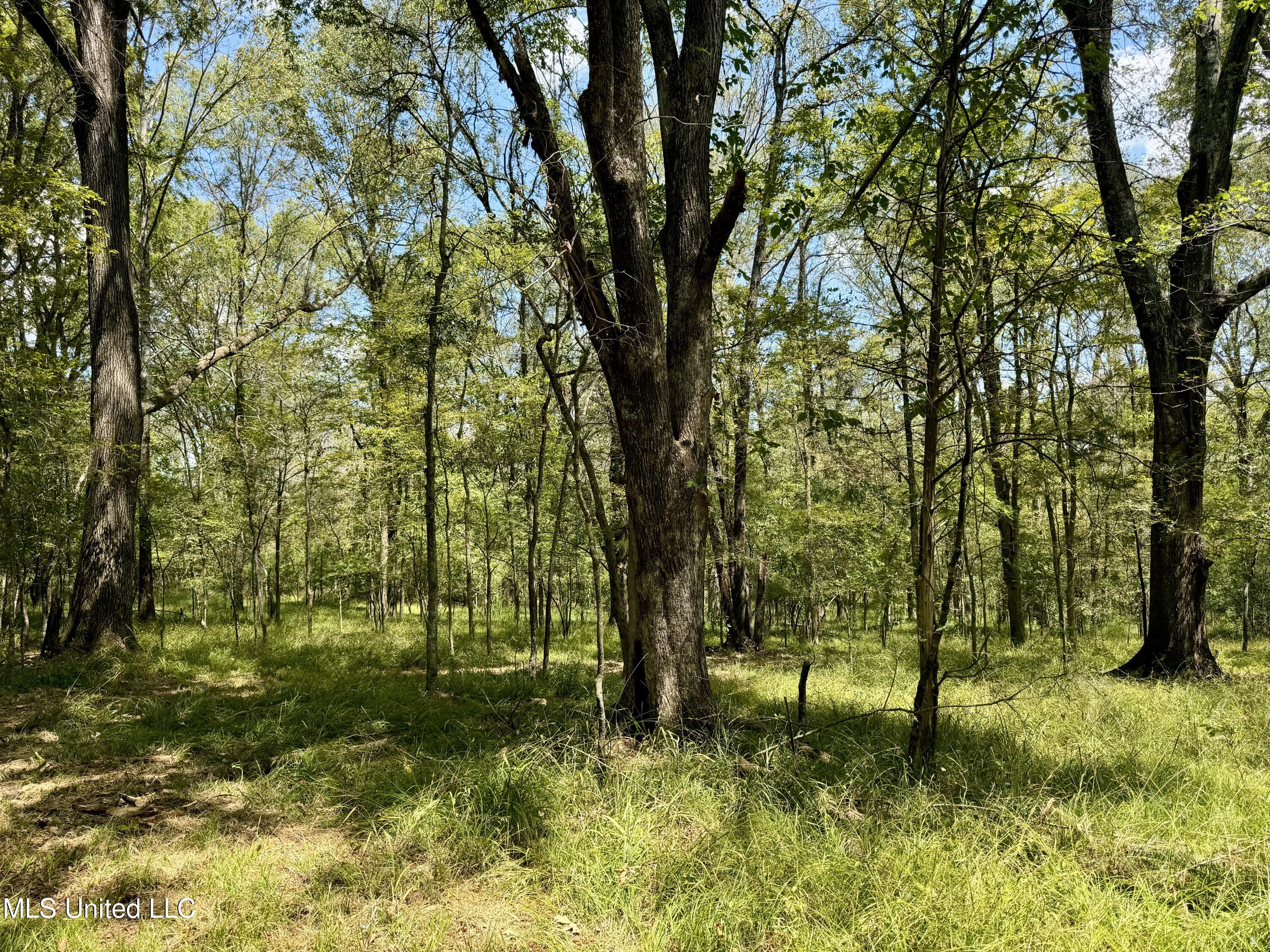 00001 Williamson Road, Clinton, Mississippi image 37