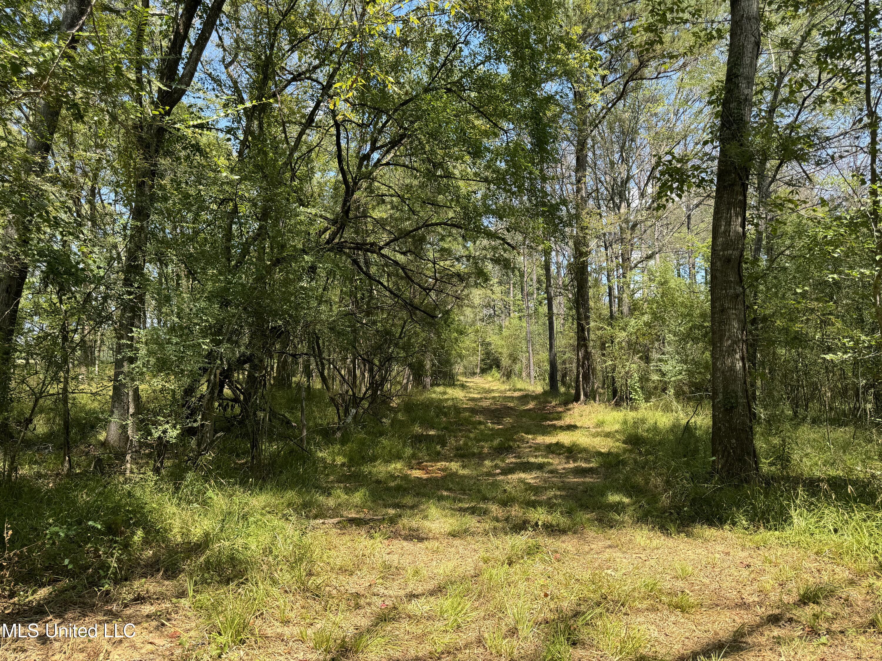 00001 Williamson Road, Clinton, Mississippi image 32