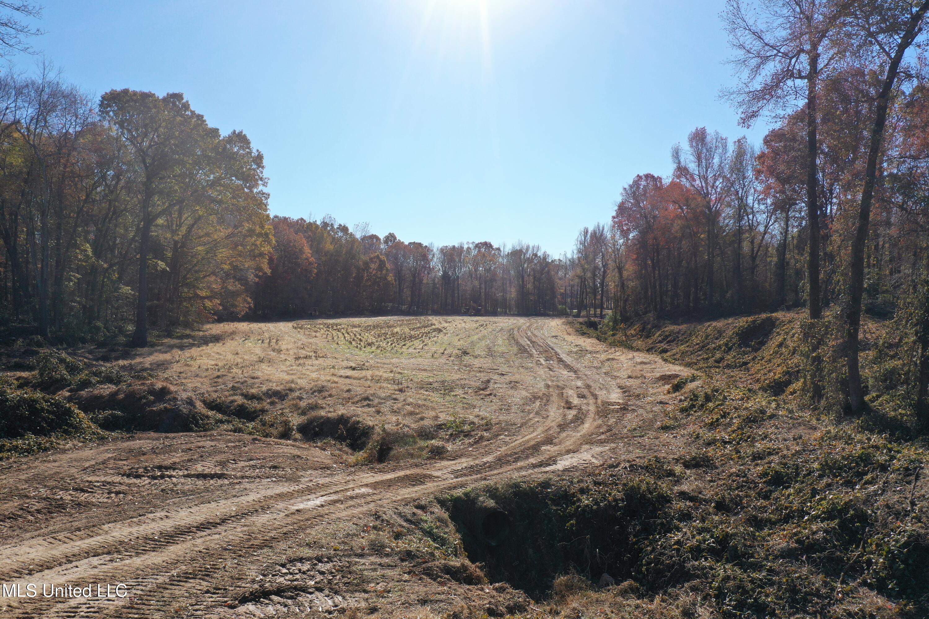 2603 S S. Slayden Road, Lamar, Mississippi image 14