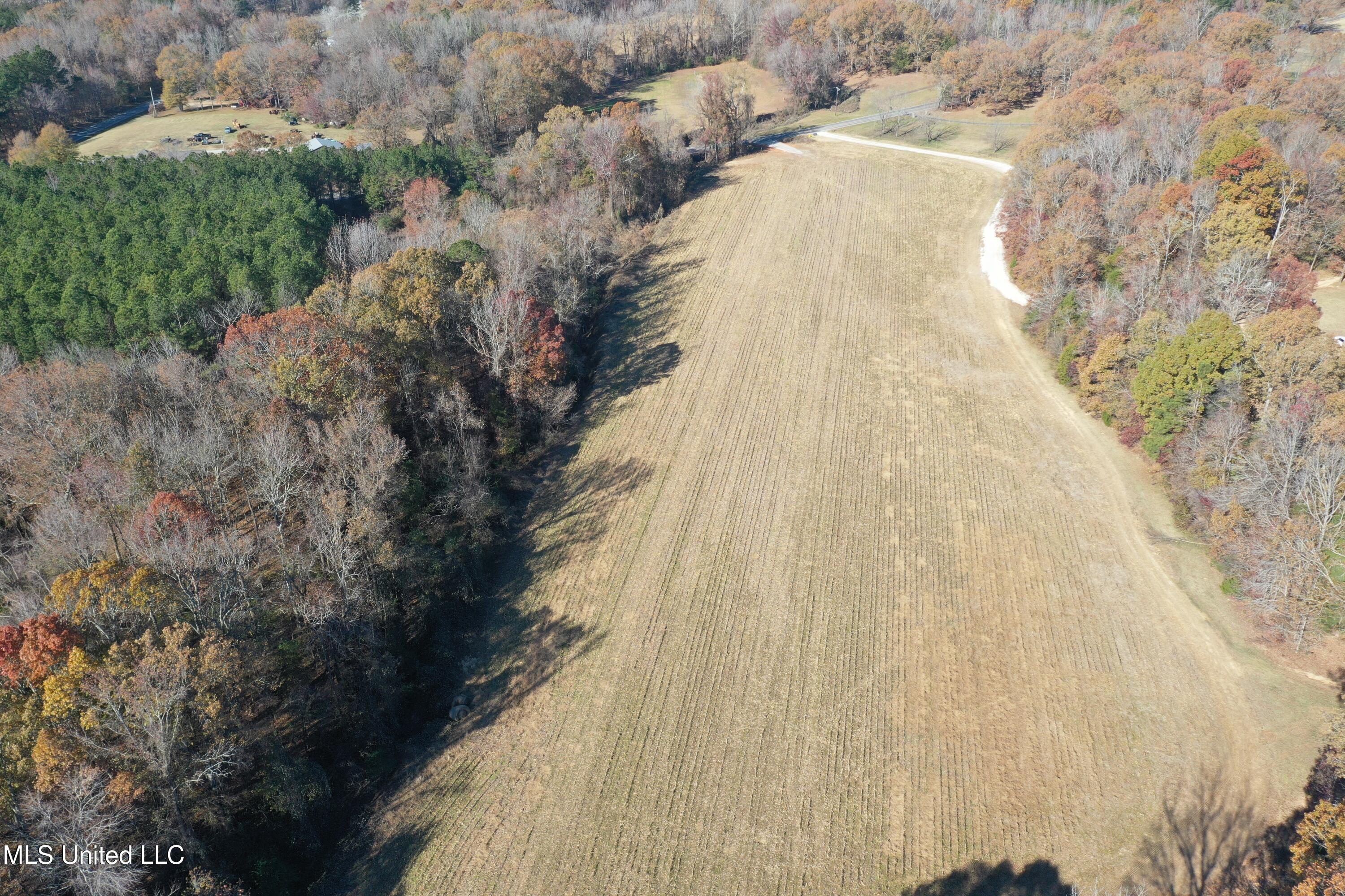 2603 S S. Slayden Road, Lamar, Mississippi image 11