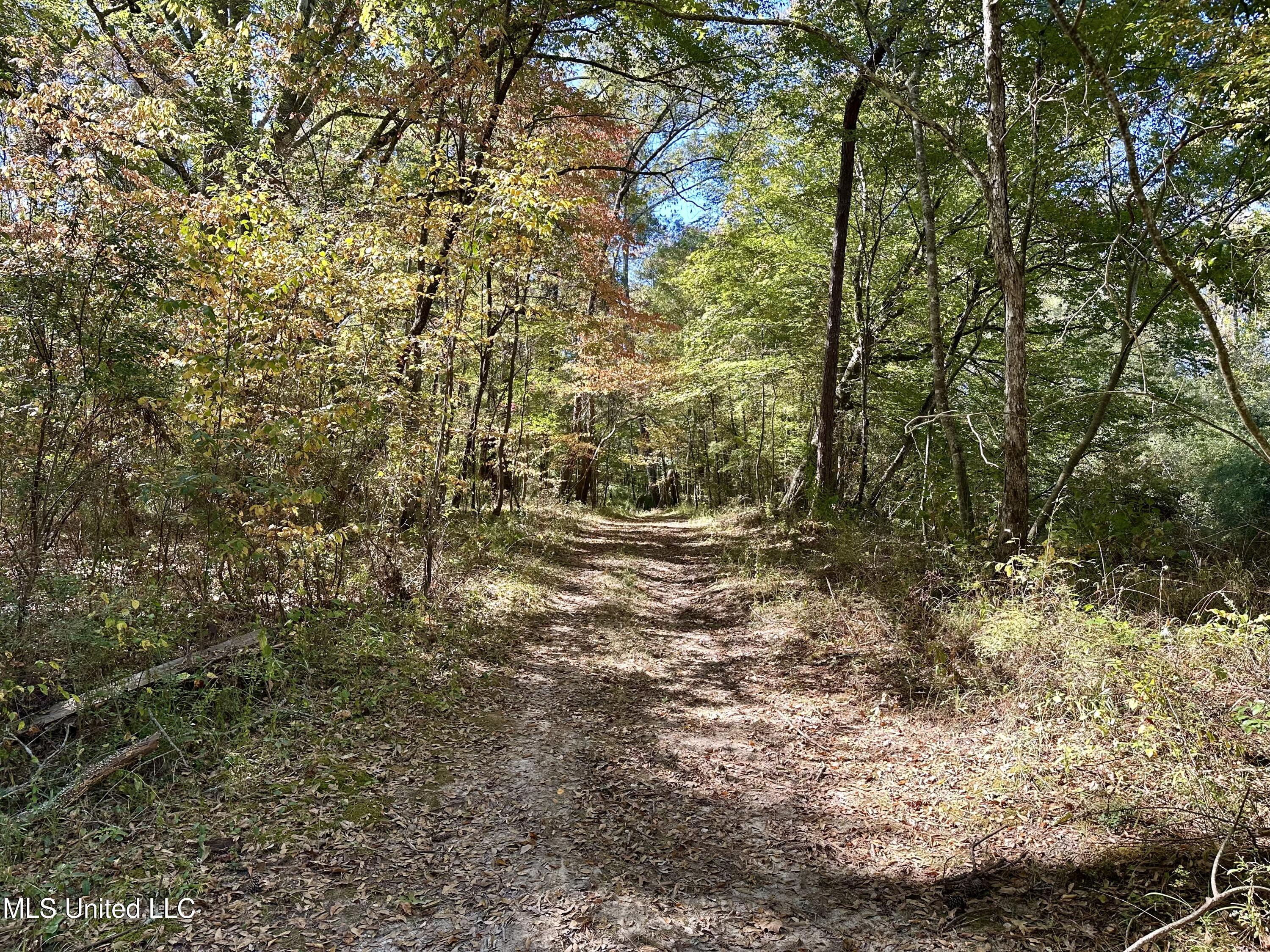 2089 Alford Bridge Rd, Summit, Mississippi image 9