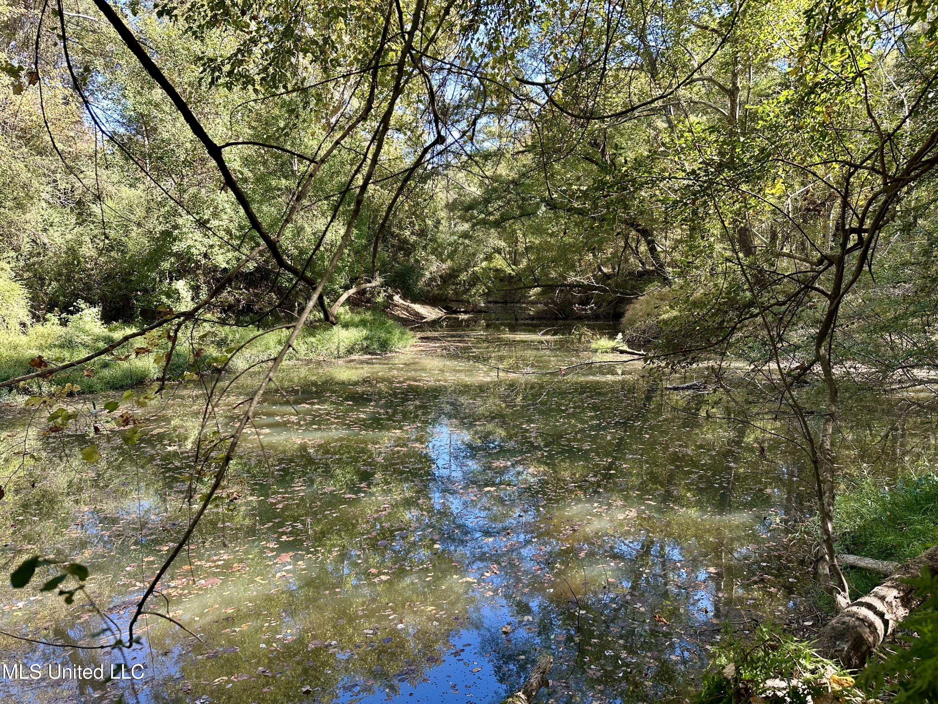 2089 Alford Bridge Rd, Summit, Mississippi image 7