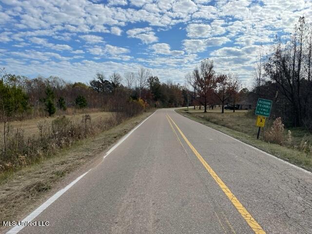 Old Canton Road, Canton, Mississippi image 2