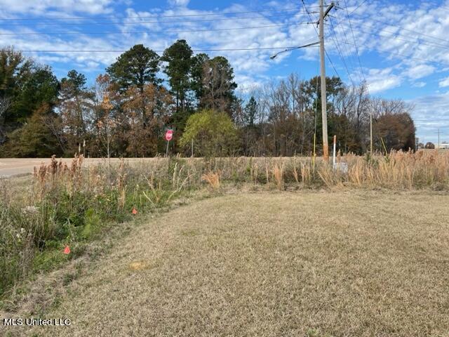 Old Canton Road, Canton, Mississippi image 6