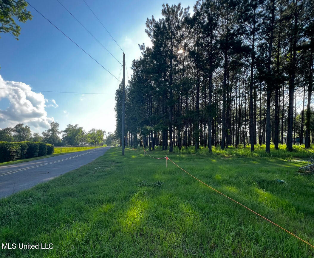 Parcel 1 Gordon Road, Lucedale, Mississippi image 1