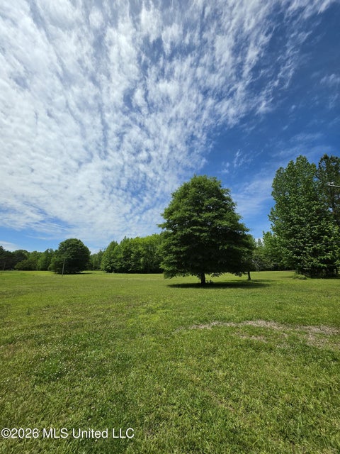 Vacant Land For Sale - 556 Jamie Drive<br/> Byhalia, MS 38611