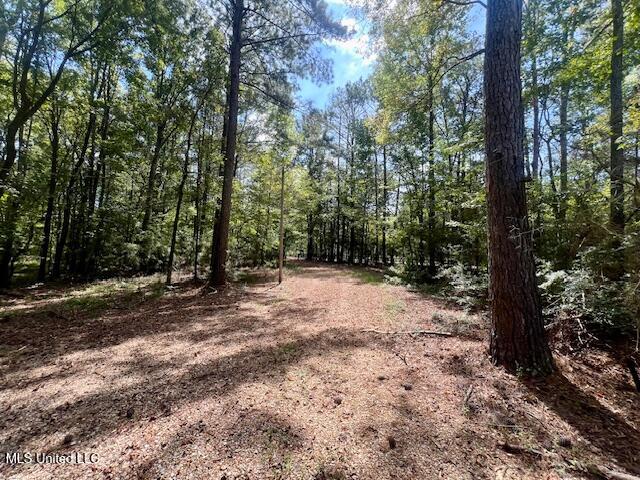 4870 Berwick Cassels Road, Gloster, Mississippi image 41