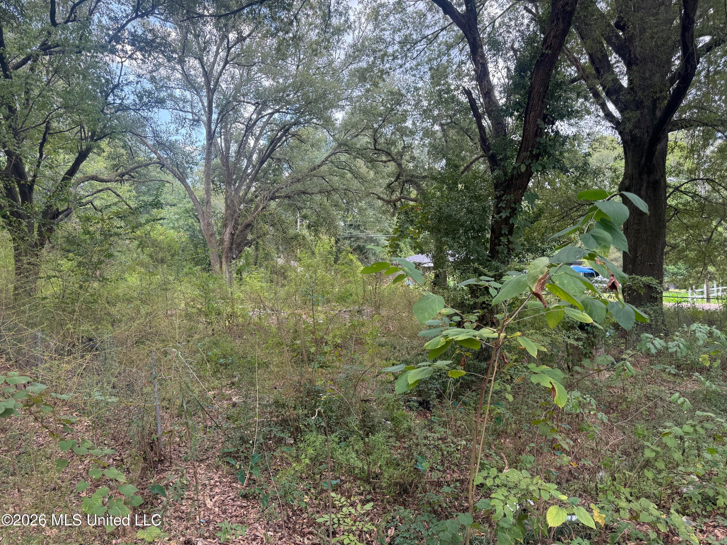 2950 Barwood Drive