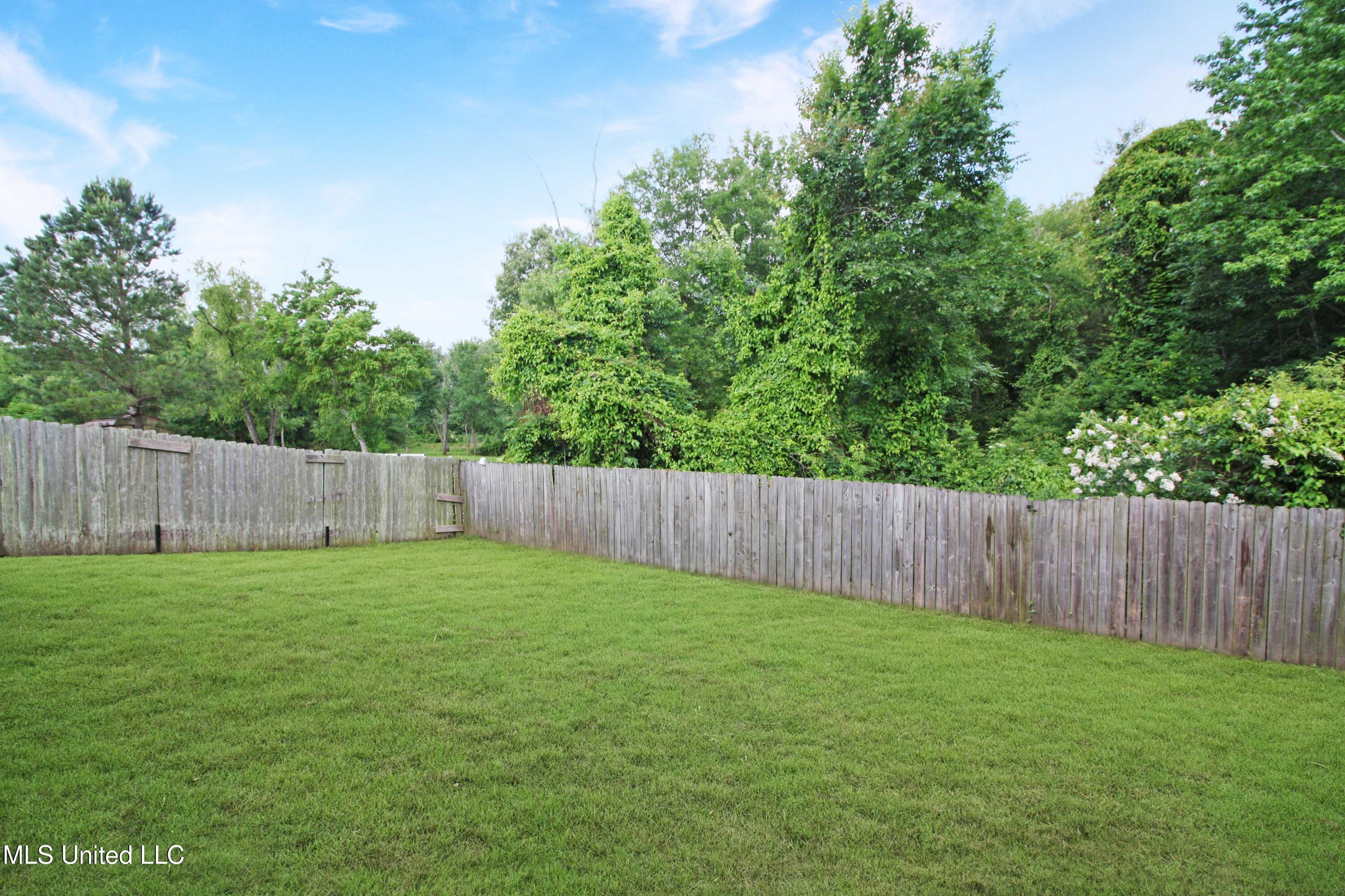 809 Jason Cove, Brandon, Mississippi image 41