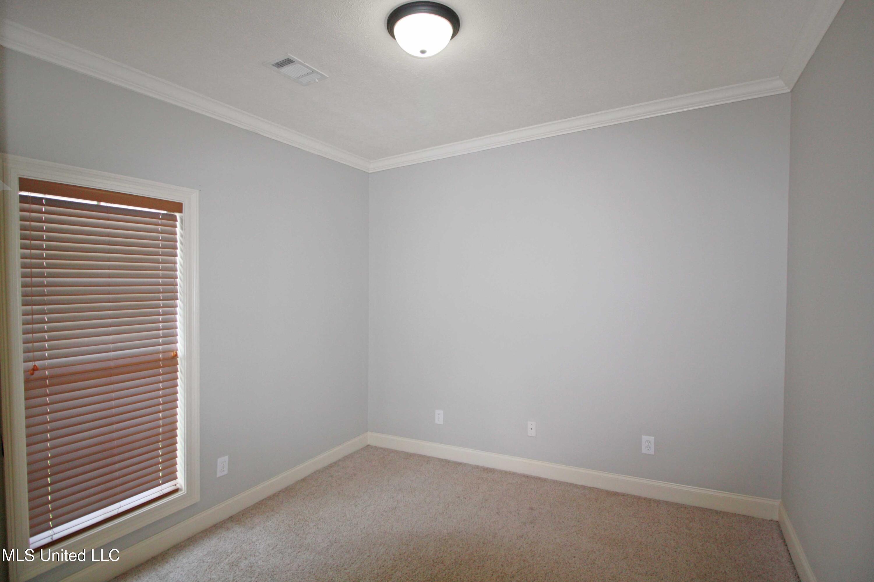 809 Jason Cove, Brandon, Mississippi image 32
