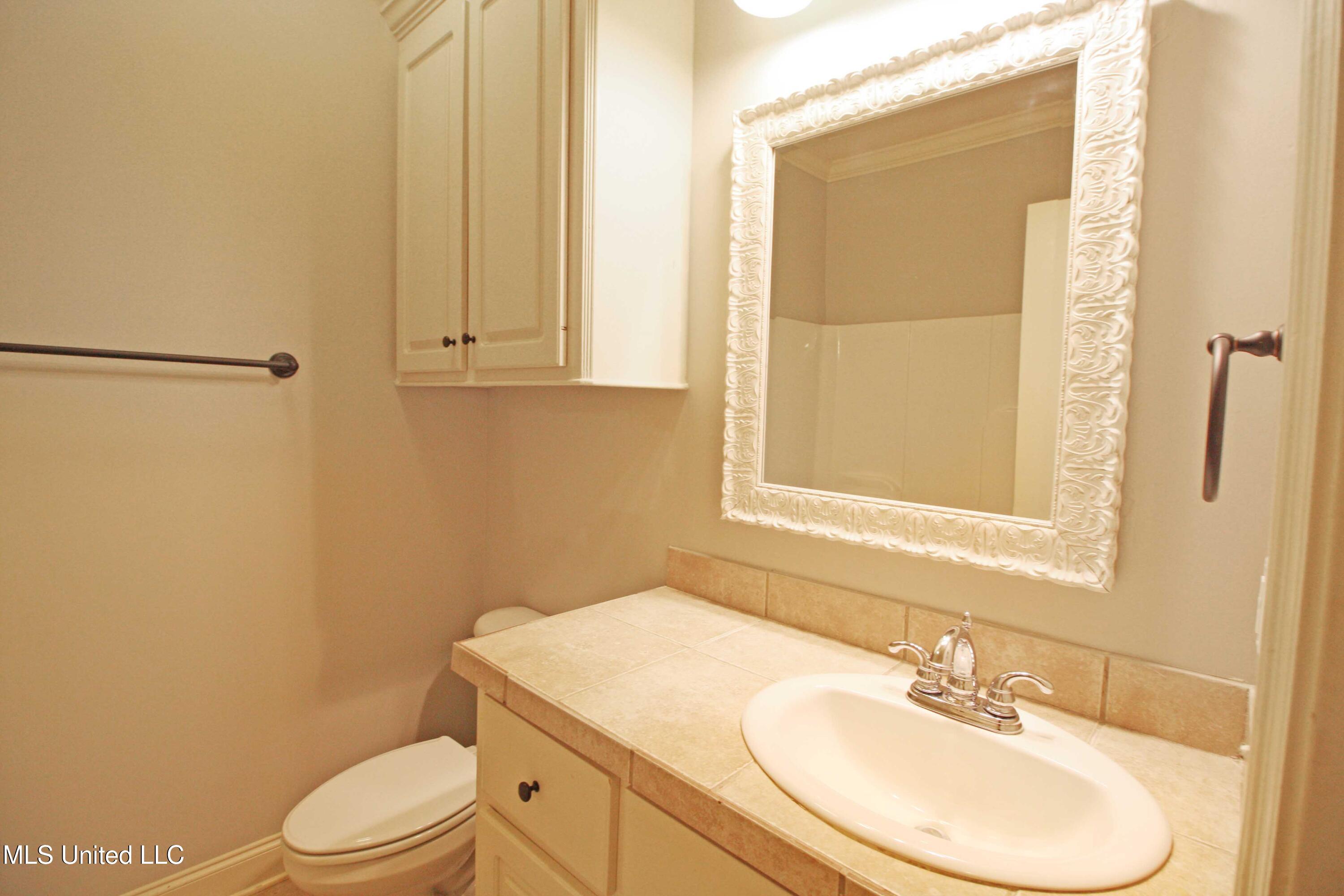 809 Jason Cove, Brandon, Mississippi image 29