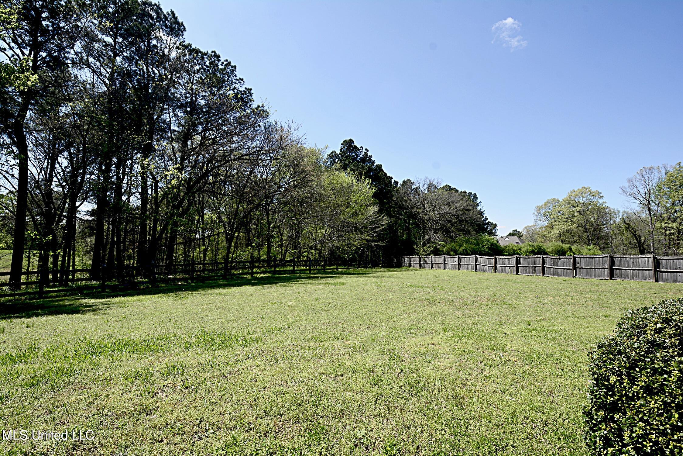 4051 Misty Oaks Lane, Nesbit, Mississippi image 38