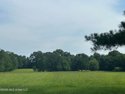 1 GREEN ACRES DRIVE, CANTON, MS 39046 - Image 57733398cdbeaa3903bbb7d95b2efbbe/2033199251