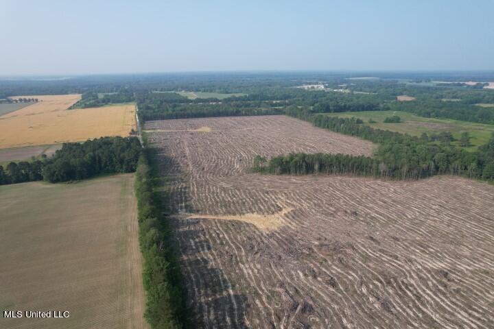 D Bates Road, Morton, Mississippi image 6