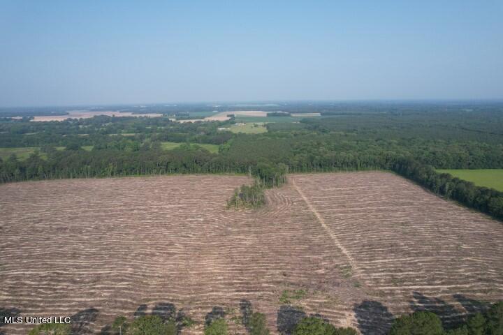 D Bates Road, Morton, Mississippi image 7