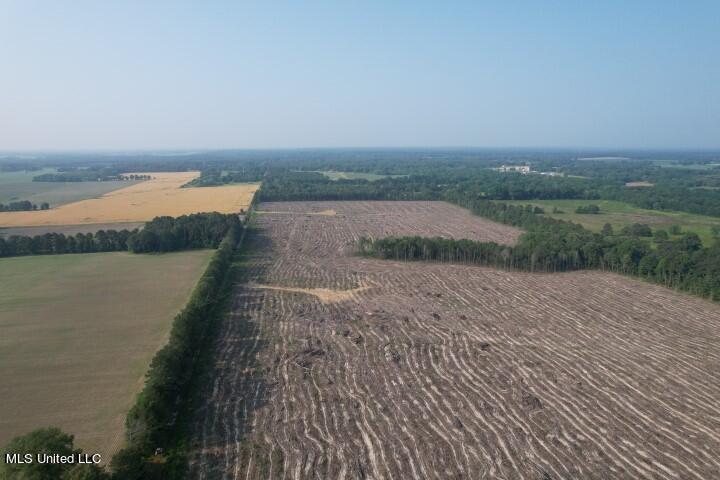 D Bates Road, Morton, Mississippi image 3