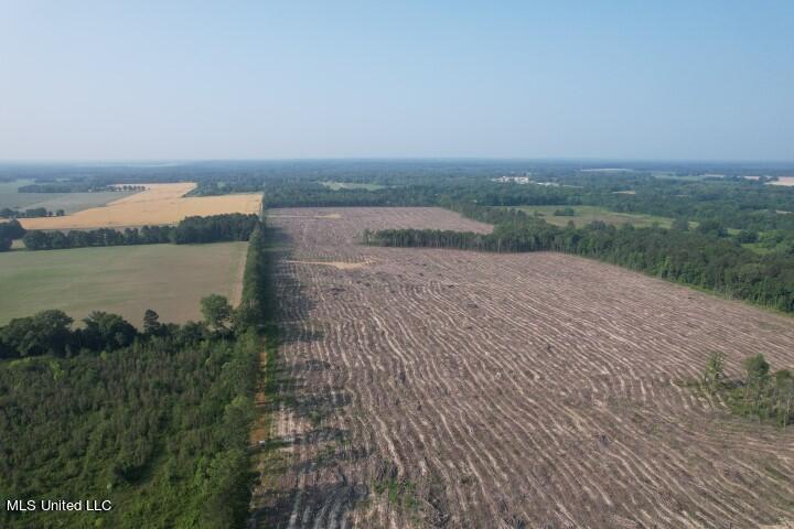 D Bates Road, Morton, Mississippi image 8