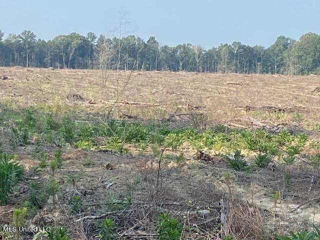 D Bates Road, Morton, Mississippi image 15