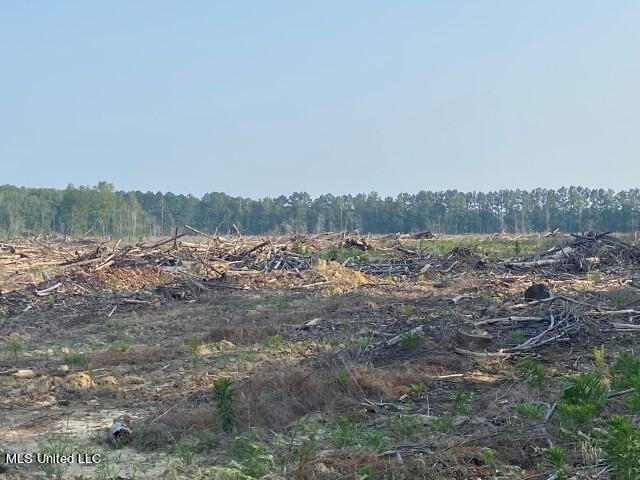 D Bates Road, Morton, Mississippi image 11