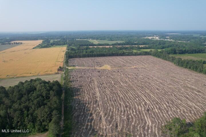 D Bates Road, Morton, Mississippi image 5