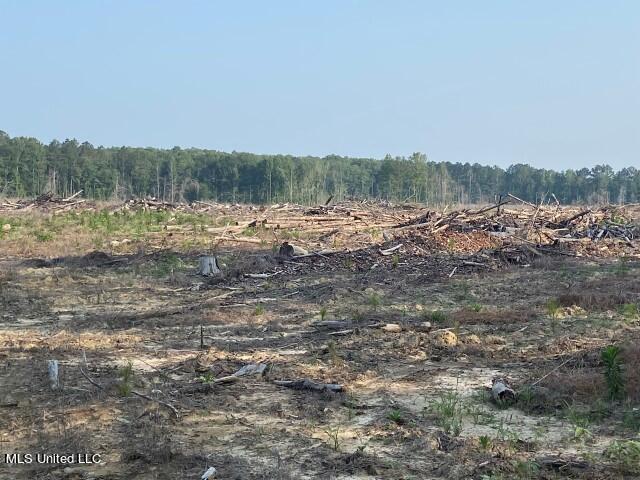 D Bates Road, Morton, Mississippi image 13