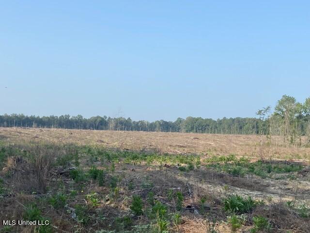 D Bates Road, Morton, Mississippi image 10