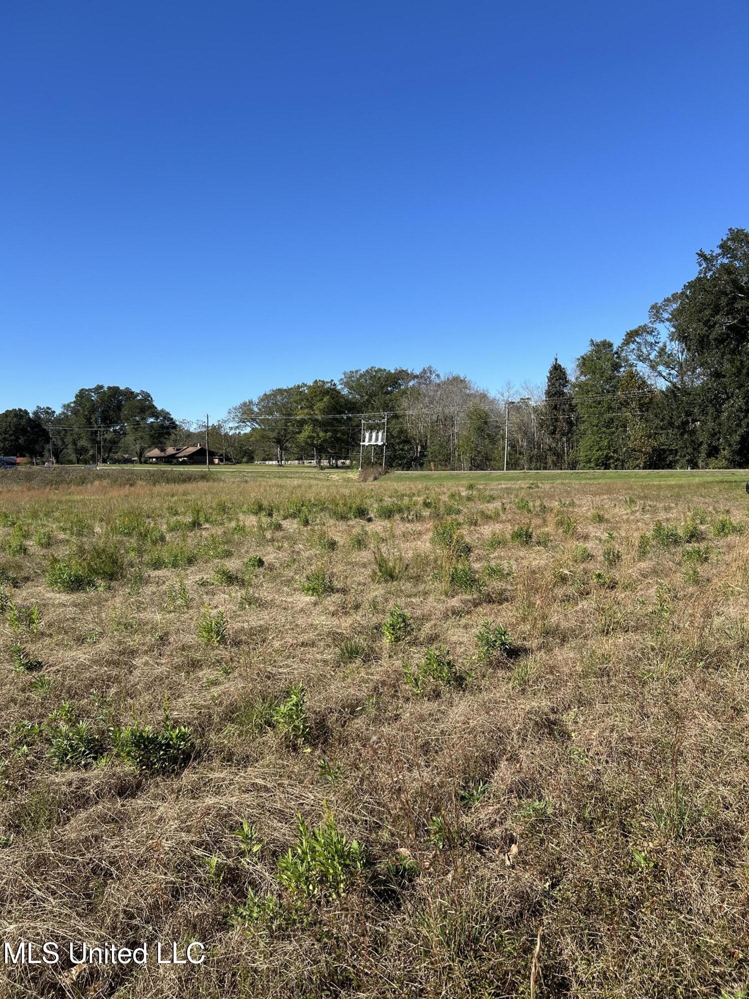 2.2 Acres Hwy 613, Lucedale, Mississippi image 4