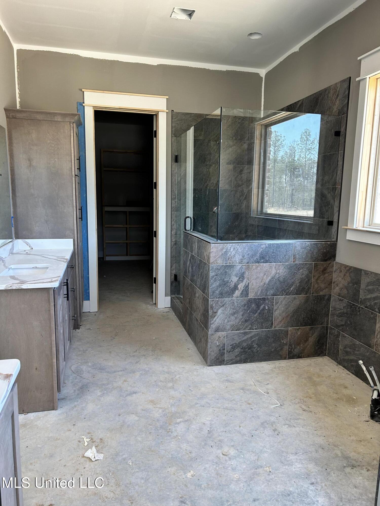 5225 Deerwood Crossing Drive Dr, Lake Cormorant, Mississippi image 14