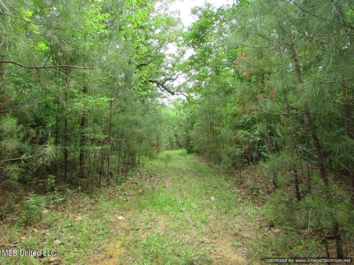 Lot 1 Permenter Road, Canton, Mississippi image 5