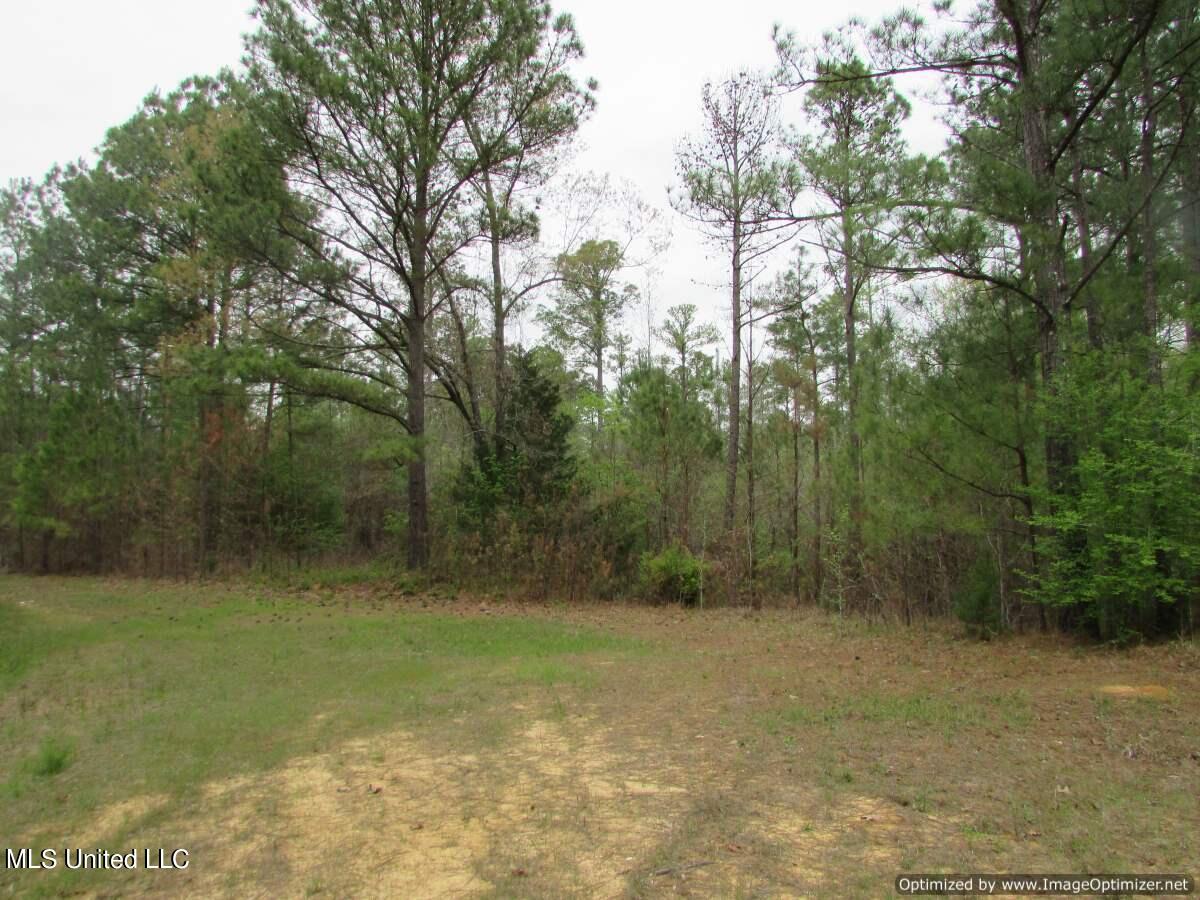 Lot 1 Permenter Road, Canton, Mississippi image 15