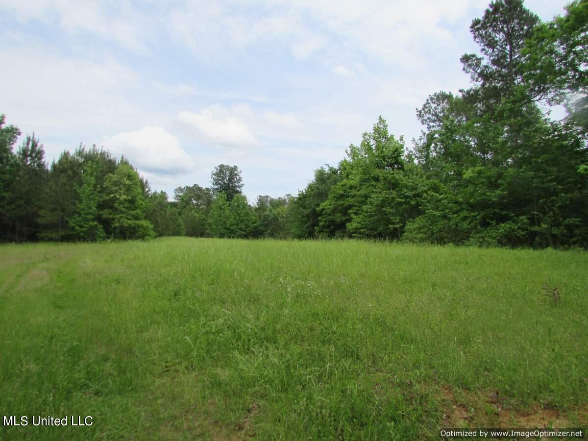 Lot 1 Permenter Road, Canton, Mississippi image 4