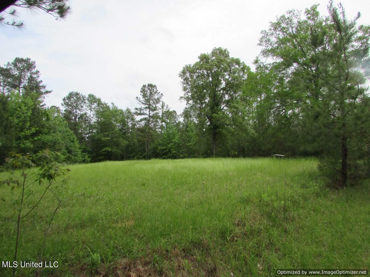 Lot 1 Permenter Road, Canton, Mississippi image 6