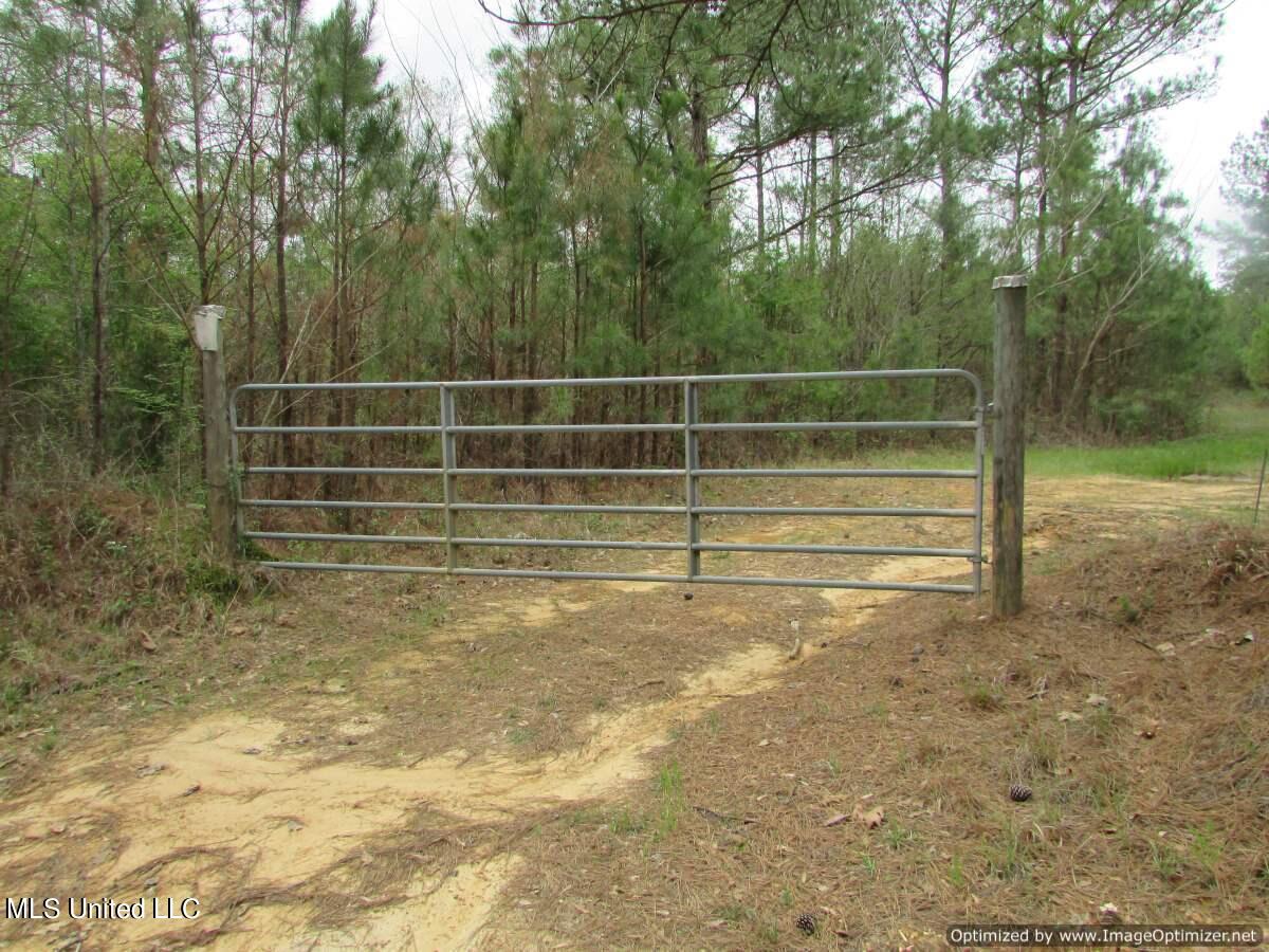 Lot 1 Permenter Road, Canton, Mississippi image 14